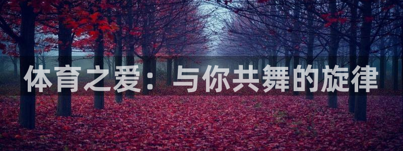 体育之爱：与你共舞的旋律